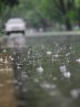 گشت‌زنی نیروهای خدمات شهری مناطق۲۲ گانه در پی بارش‌ها/ مشکلات احتمالی را به ۱۳۷ گزارش دهید