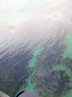 «آلودگی نفتی»؛ مهم‌ترین موضوع برای همکاری‌های زیست‌محیطی حوضه خلیج فارس