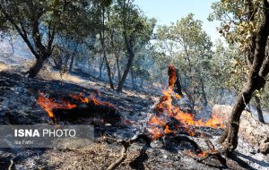 آتش‌سوزی محدود در مراتع و جنگل‌های ۲نقطه از کشور